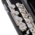 Selmer SFL611BEO in Case