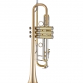 190L65GV Professional Trumpet