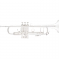 Bach 190S37 Trumpet